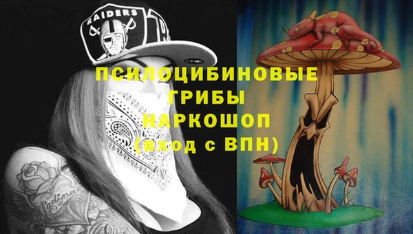 герыч Алзамай