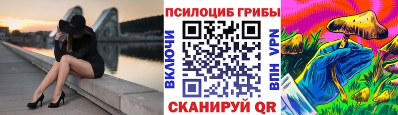 Псилоцибиновые грибы Cubensis  цены   сайты даркнета как зайти  Елабуга  блэк спрут ССЫЛКА 